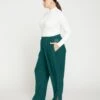 Forest Green Tuxedo Stripe Double Luxe Wide Leg Trousers 1 Forest Green Tuxedo Stripe Double Luxe Wide Leg Trousers -UNIVERSAL STANDARD Tux Double Luxe PantsUSH30090E 143Scarab 001